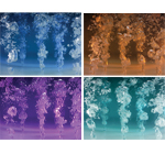 Chroma-Composite