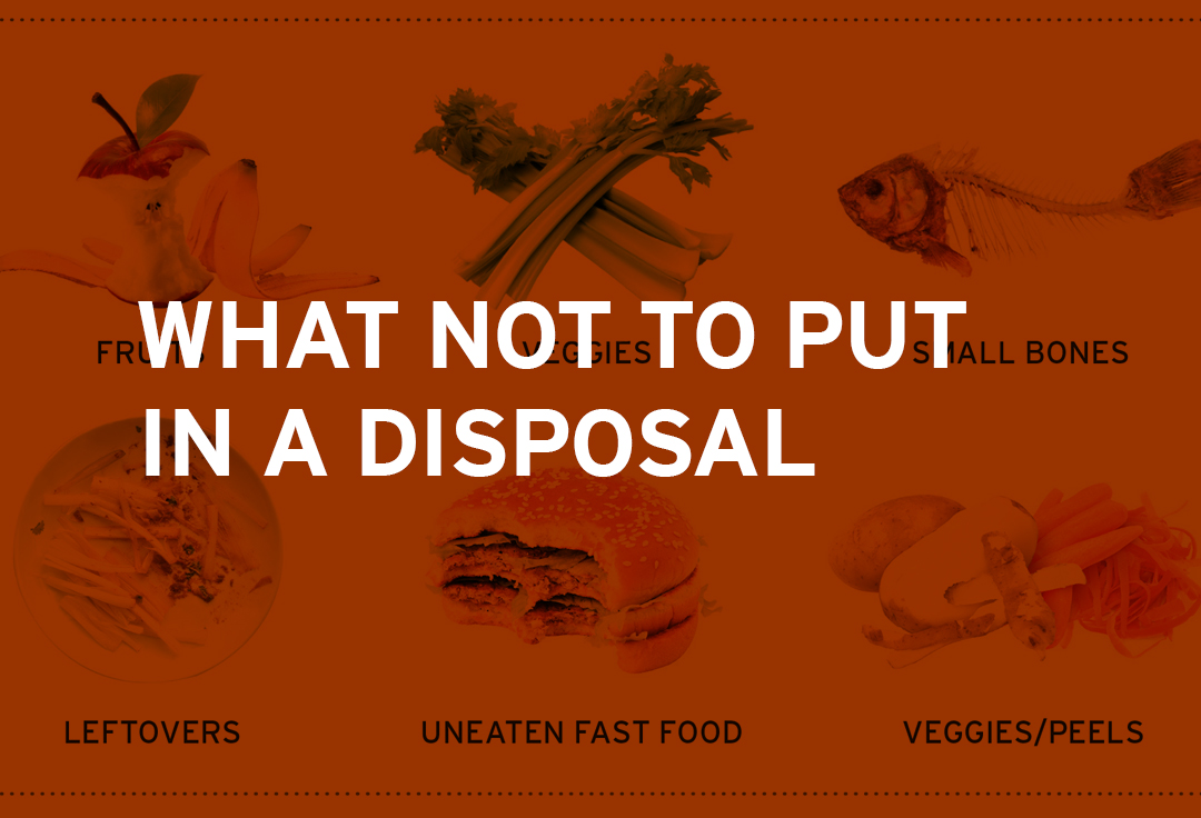 What Not To Put In A Garbage Disposal Rubenstein Supply Company