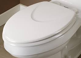 Read more about the article Luxury Toilet Seats From American Standard